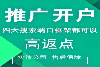 百度竞价运营的挑战与机遇：成功案例探讨
